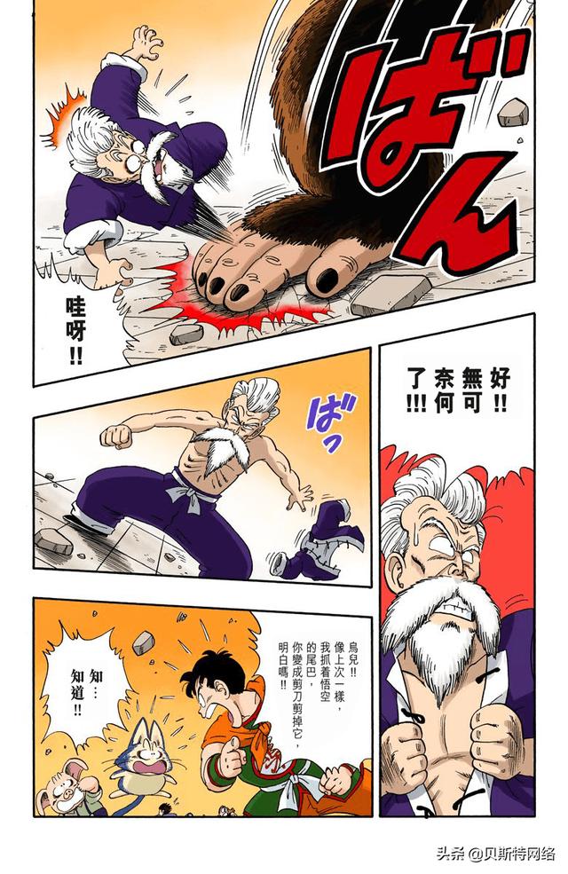 看龙珠感悟,龙珠龟仙人看布尔玛