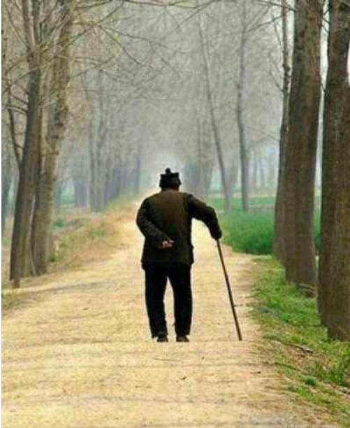 催人流泪的感恩父母故事,感恩父母流泪的句子