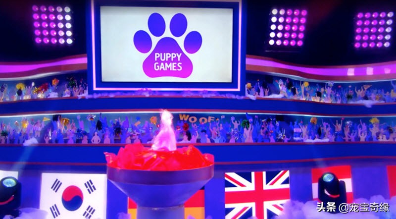 缇庡浗鐘被澶ц禌,缇庡浗鐙楃嫍姣旇禌缁艰壓