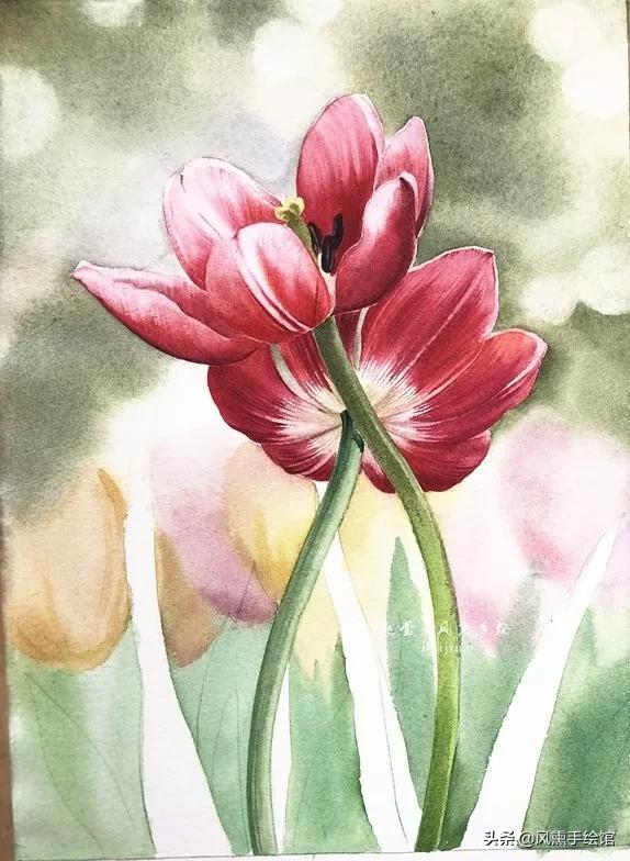 怎么用水彩笔画郁金香教程,粉色水彩郁金香怎么画图片