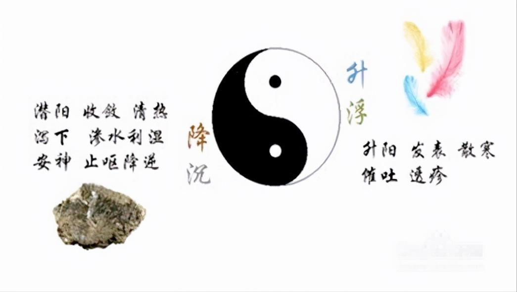 张元素的100个用法,张元素确定脏腑辨证用药体系