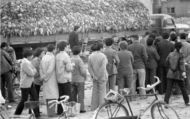 采访18岁的人,80后到00后的童年经历简介