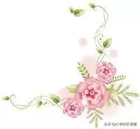 描写观察小动物的作文方法,写作观察的技巧和方法