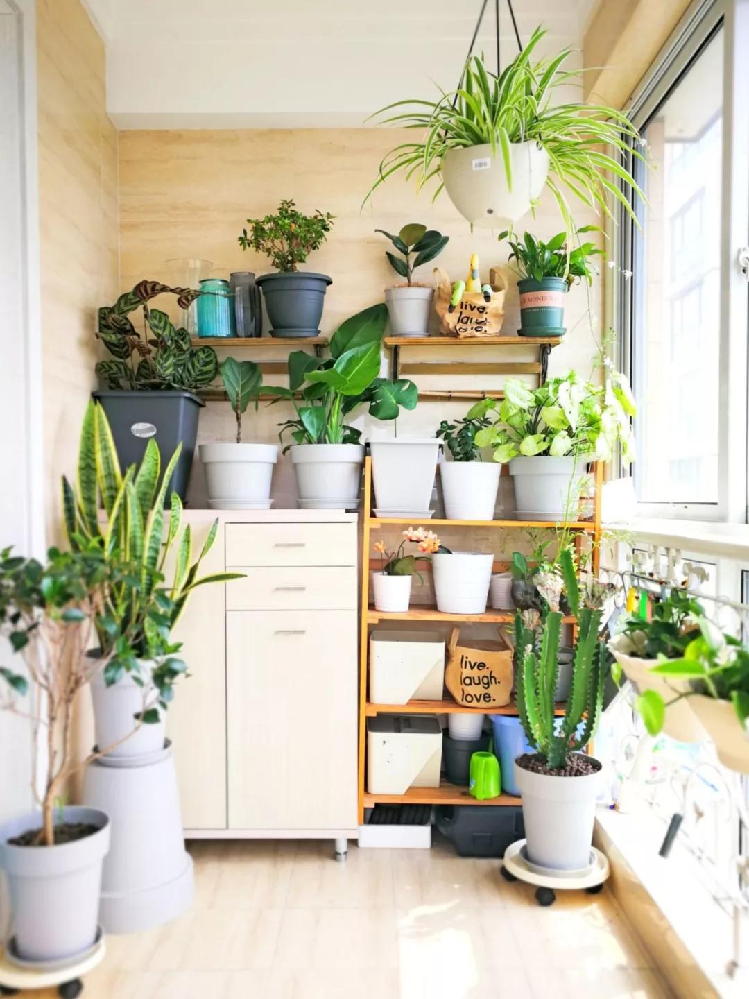 大扫除断舍离生活用品,春节大扫除断舍离