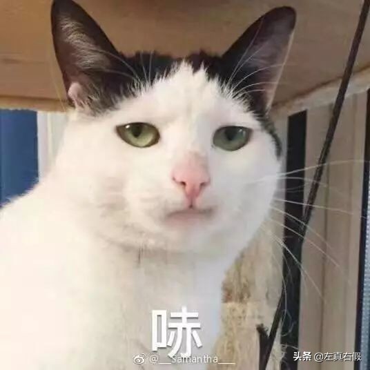 安娜苏美人鱼香水测评,安娜苏美人鱼香水30ml