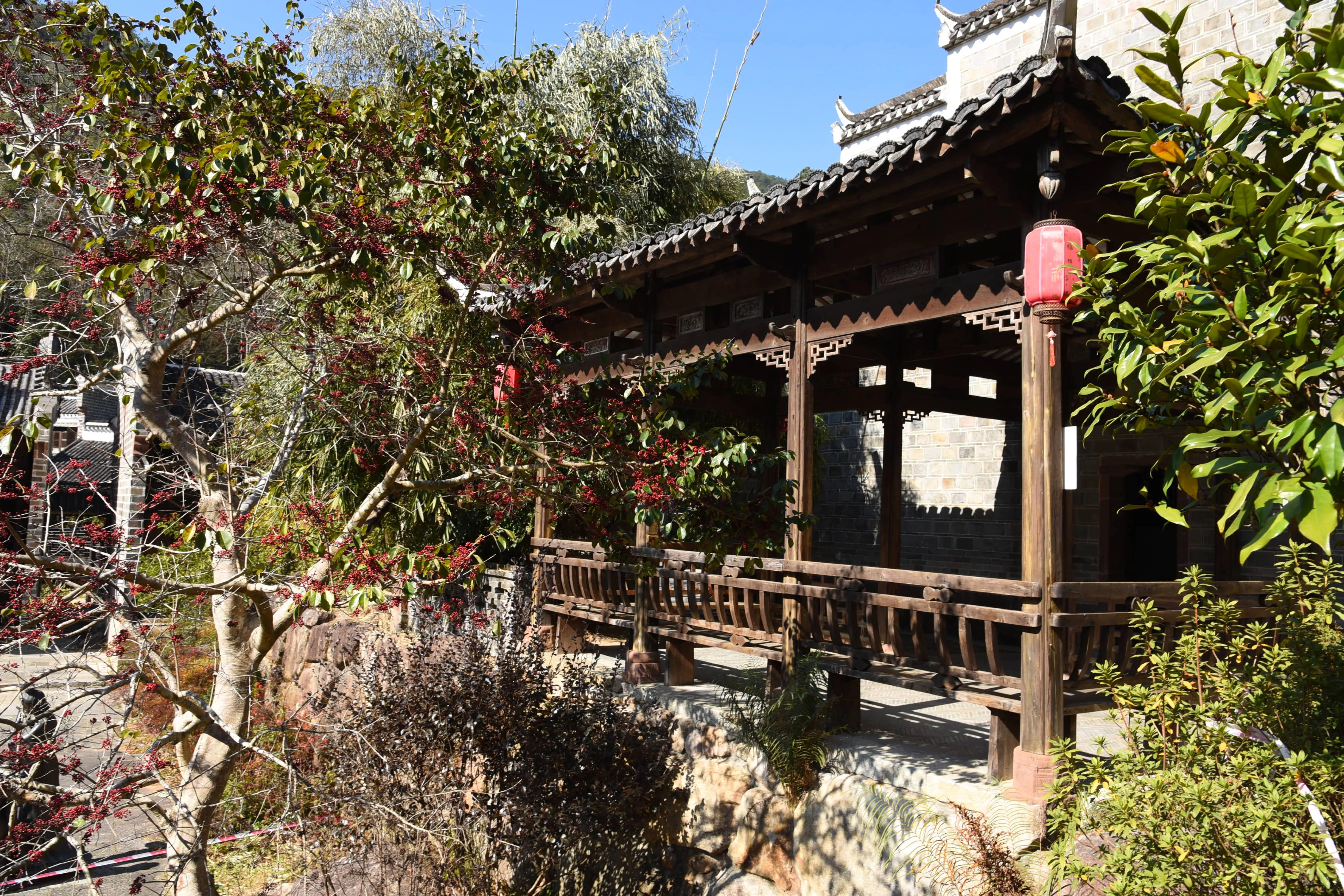 新丰云髻山,新丰云髻山枫叶红了吗