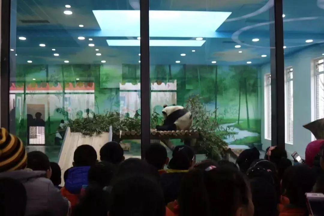 *安泰**赏花休闲婚拍就到泰山花海摩玛梦想城