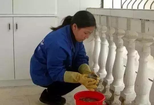 石家庄今日到春节期间还会有雪吗,2020石家庄雪12月份