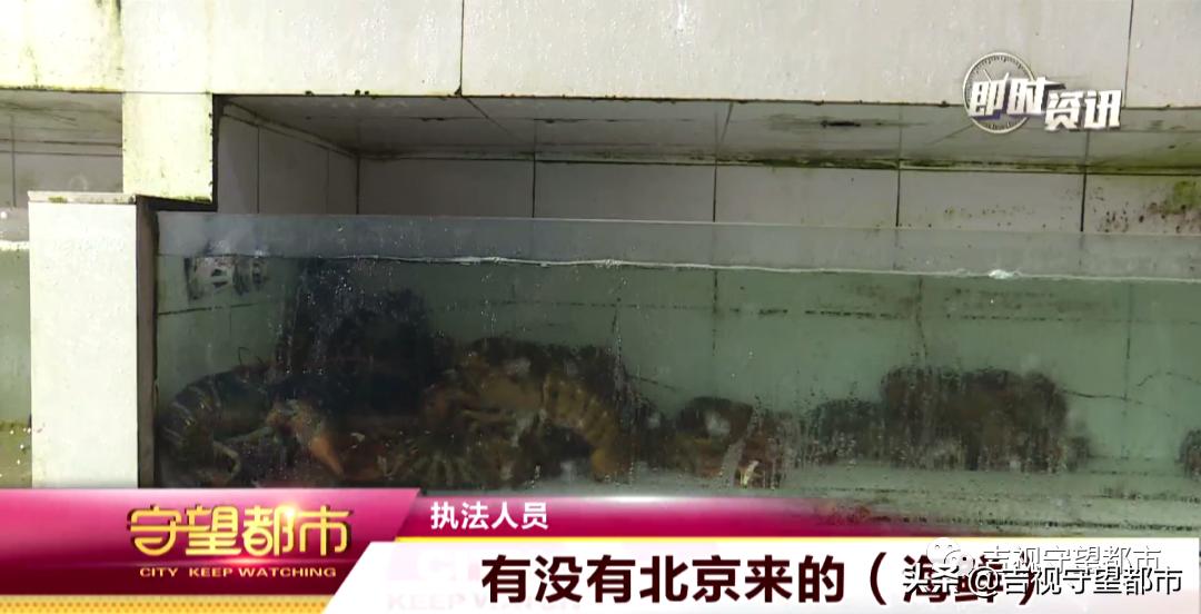 市场监管局开展海鲜交易专项整治,长春市严查水产批发市场