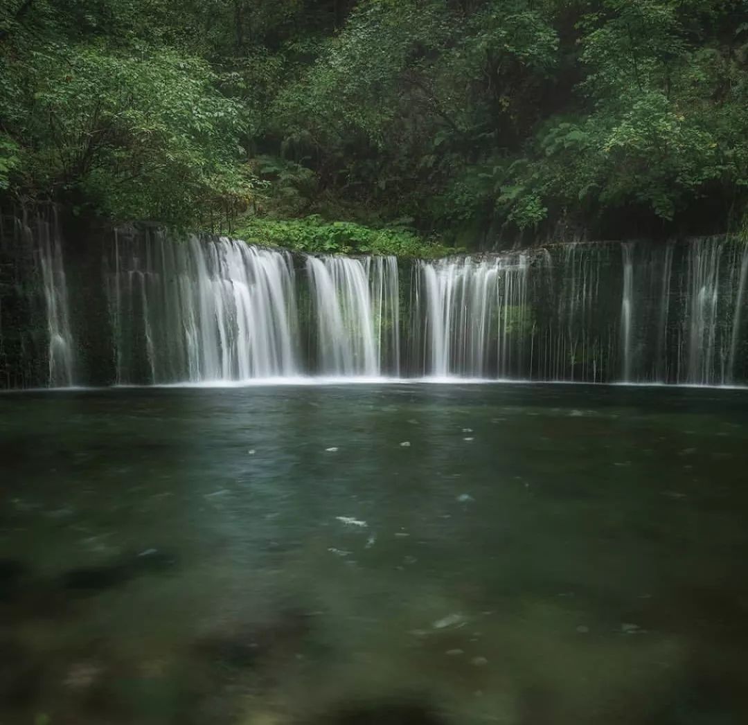日本长野县旅行,日本长野赏樱旅游攻略