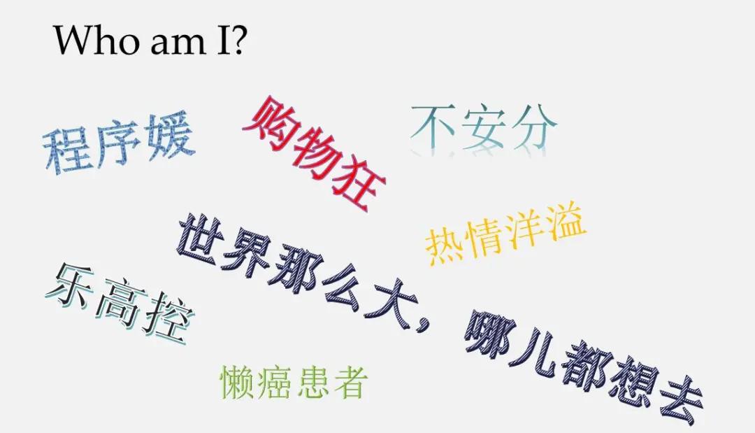 介绍一下布里斯托大学,布里斯托大学就读体验