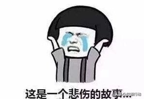 燃气灶1千的和3百的有啥区别,日本燃气灶好还是德国的好