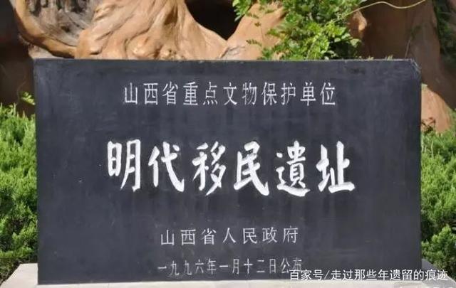 山西老鹳窝大槐树移民,大槐树上的老鹳窝