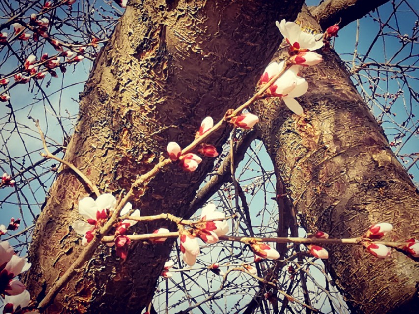 部编一年级语文下册注音,部编二年级下册语文注音练习