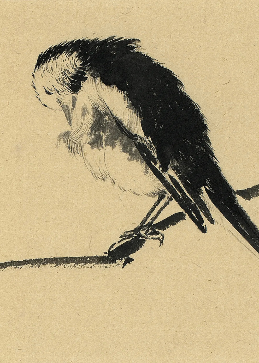 时风丨李乐然:我们这一代