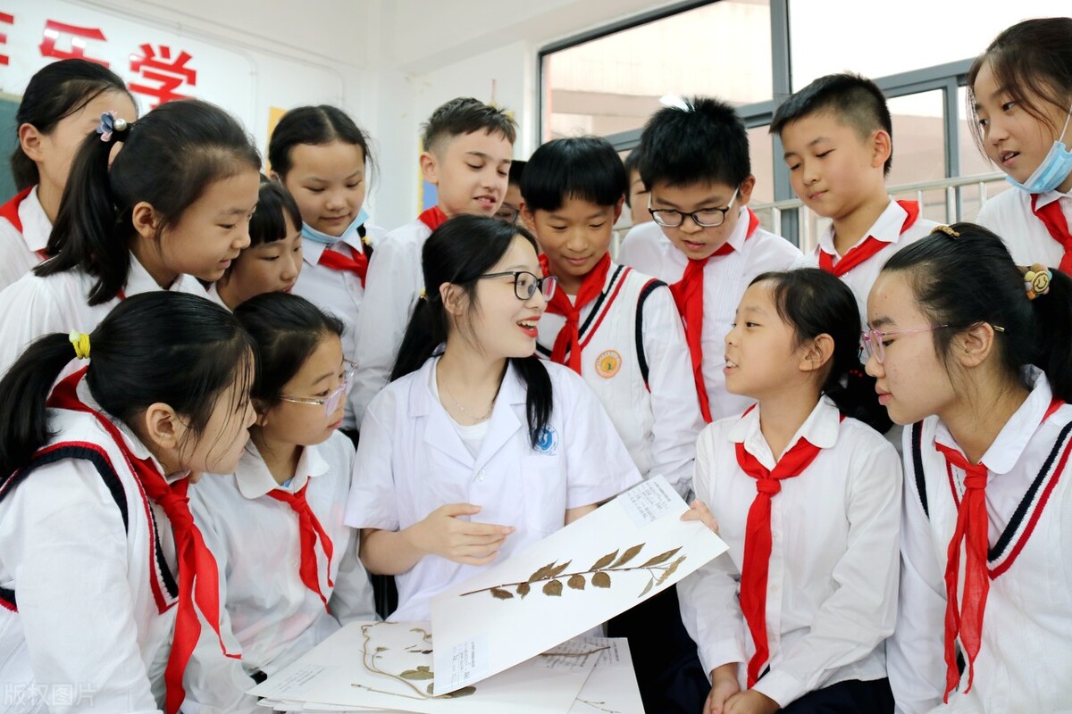 安徽中医药大学硕士授予条件,安徽中医药大学研究生推免生条件