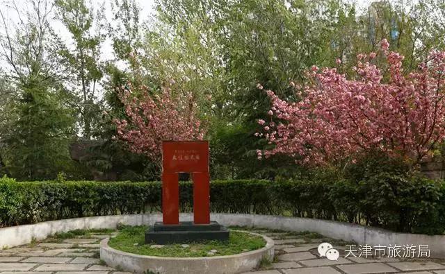 天津桃花堤赏花时间2021,天津桃花堤桃花什么时间开花