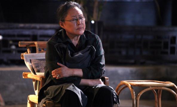 袁立为什么说斯琴高娃打羊胎素,斯琴高娃和袁立采访事件