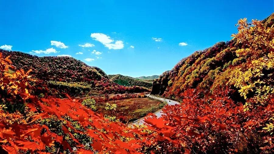 K7591一一开往仙境的旅游列车