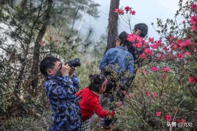 袖珍小伙修手机,袖珍老男孩修电器