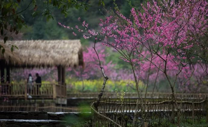 重庆酉阳酉水河风景,重庆酉阳官清乡石板村风景
