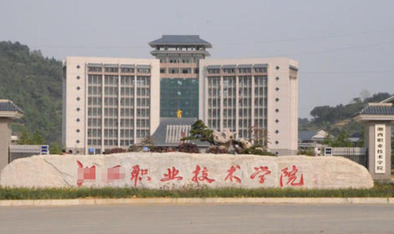 专科为啥大多是职业学院,专科为啥叫专