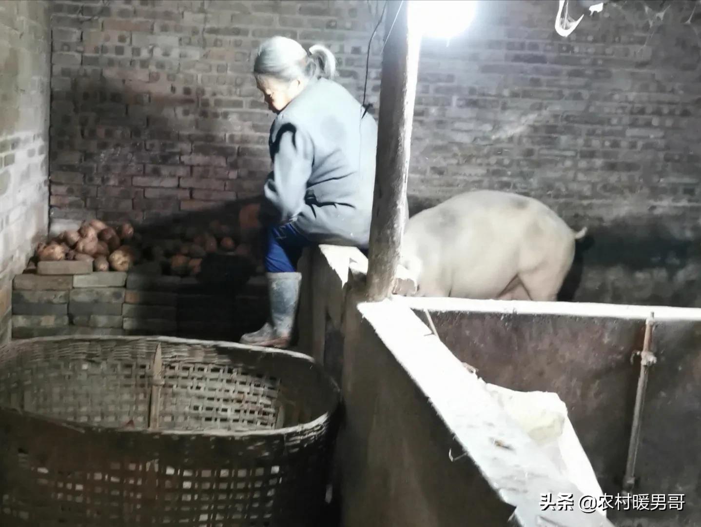 带大家一起走进乡村生活,农村生活带你体验