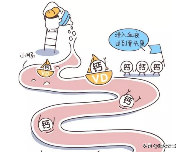 宝宝缺钙怎么办如何正确补钙,宝宝缺钙怎么补钙效果最好的