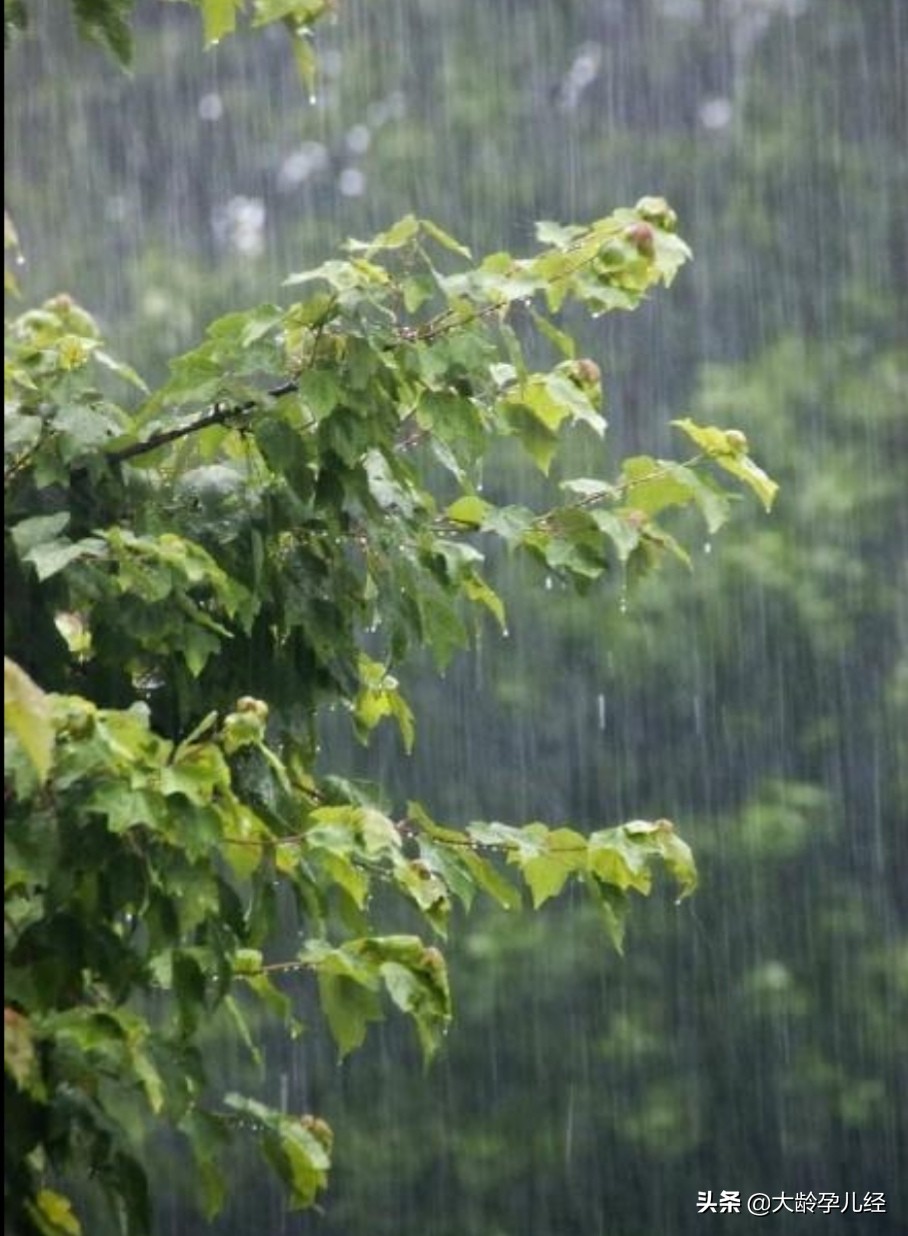 宝宝过早蹦跳有什么危害,不要盲目的认为宝宝有坏习惯