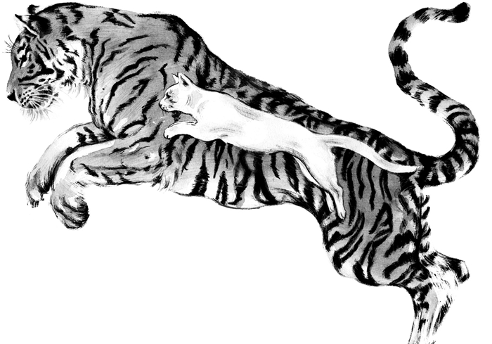 猫咪有没有被完全驯化,猫咪为什么能被驯化