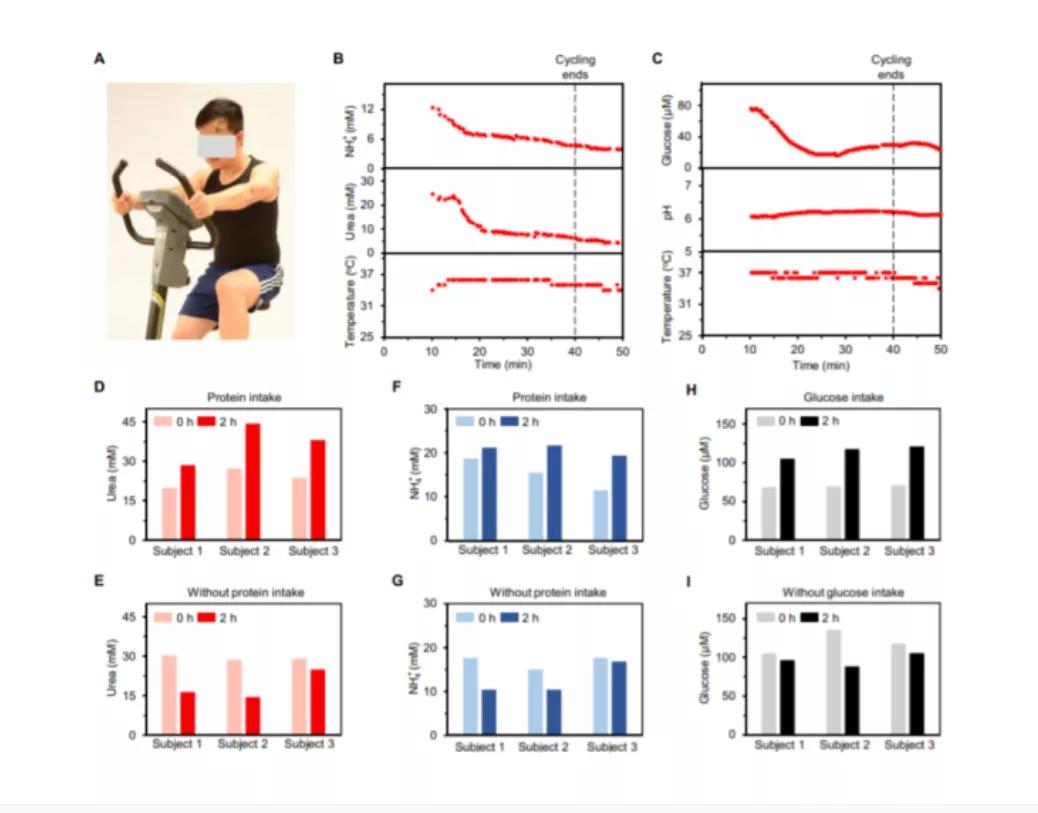 科学家可穿戴技术,可穿戴生理汗液传感器