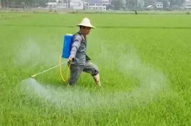 十种常见除草剂建议收藏介绍,除草剂讲解大全看完你就是专家