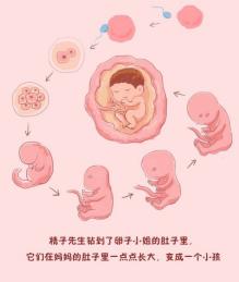 十岁男孩书店里猥亵五岁女童：缺失的性教育