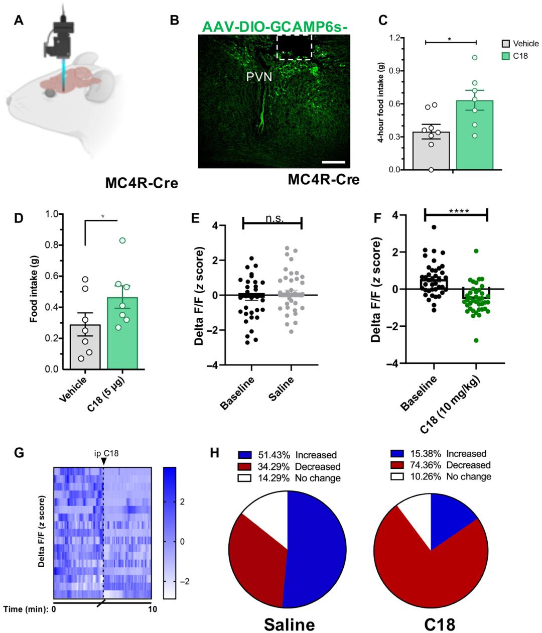智力障碍成年人认知康复训练,智力障碍分级及预后