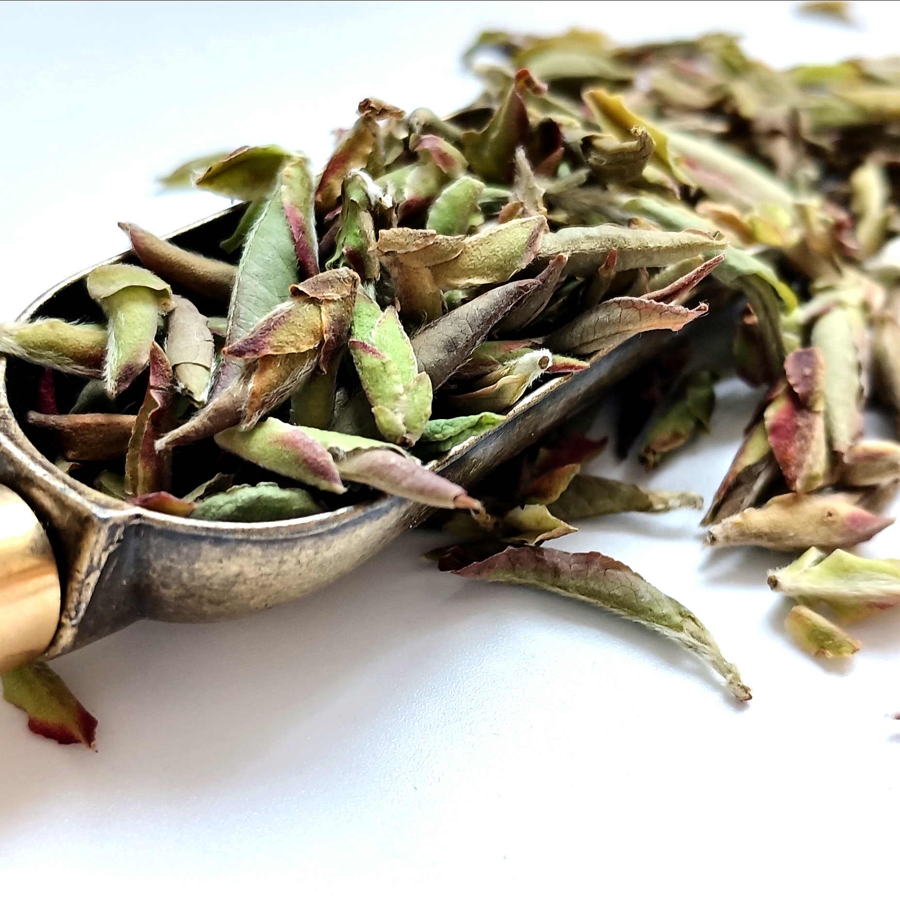 女生喝什么茶补气血,适合女生喝的4款茶