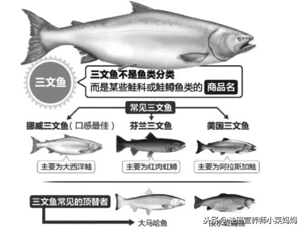 买三文鱼会少称吗,三文鱼买多大的划算