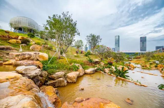 最新的深圳北站中心公园视频,深圳北站中心公园开放时间