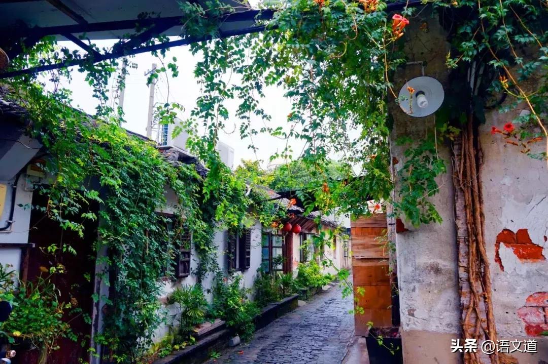 《论语》中的精华,只读一遍,受益终生