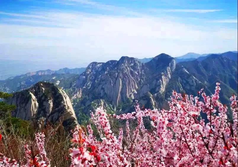 华山景区预约攻略图文解说,华山旅游攻略春季景点免费预约