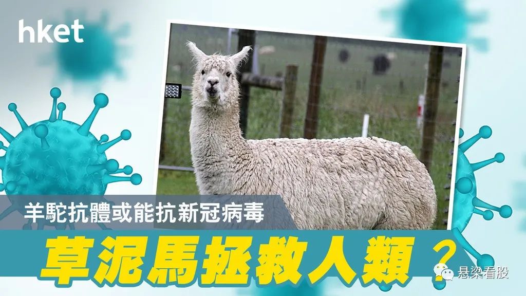 wit原油与美国原油,wit原油期货大盘