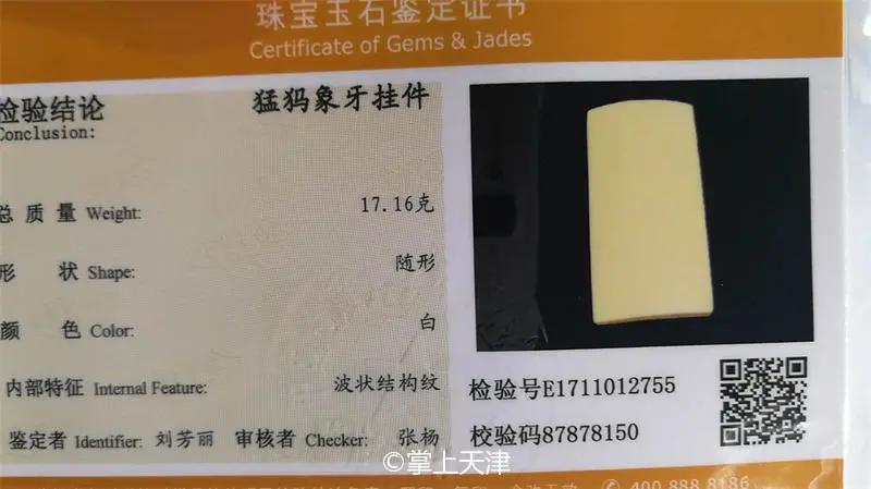 天津猛犸象牙 (天津猛犸象牙商店)