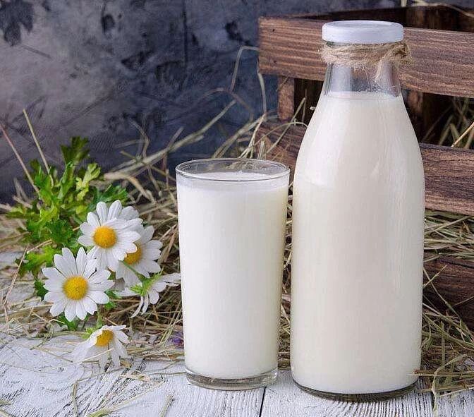 猫为什么不能喝牛奶而喝羊奶,小奶猫不让喝奶