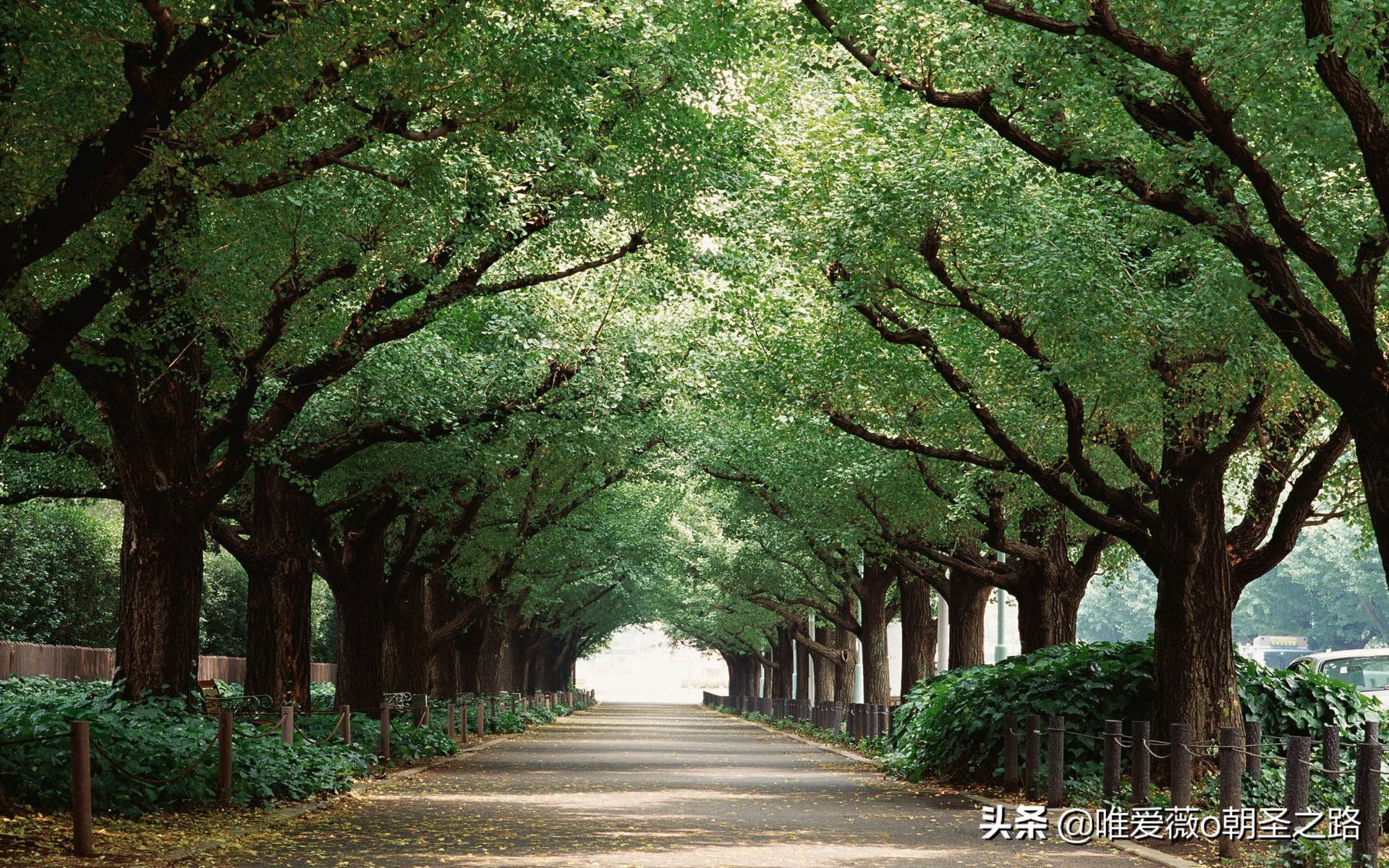 习惯与时间的影响「技术心理公开课.三」