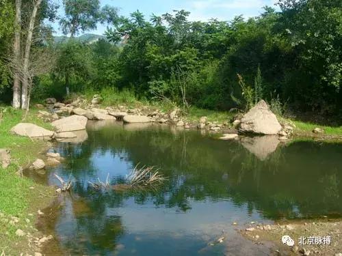 北京国家森林公园风景,画说北京故事