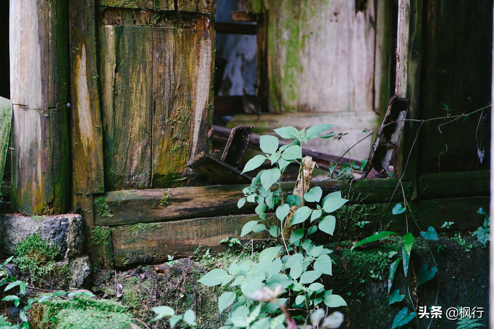 桂林阳朔旅游攻略一天半,最详细桂林阳朔旅游攻略