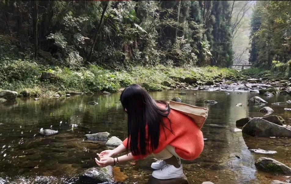 长沙自驾张家界途经景点,长沙旅游攻略景点张家界