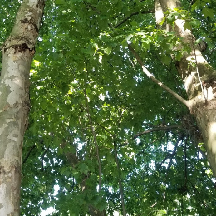 自驾31810天行程,318自驾游第一视角合集