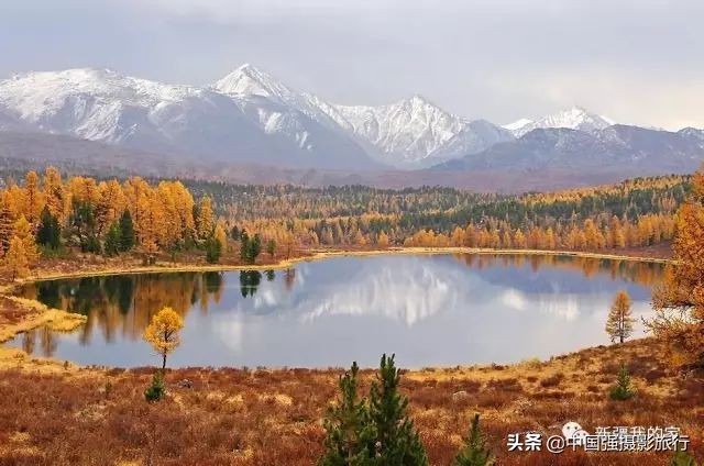 又一封辞职信火了，*疆新**人已传疯