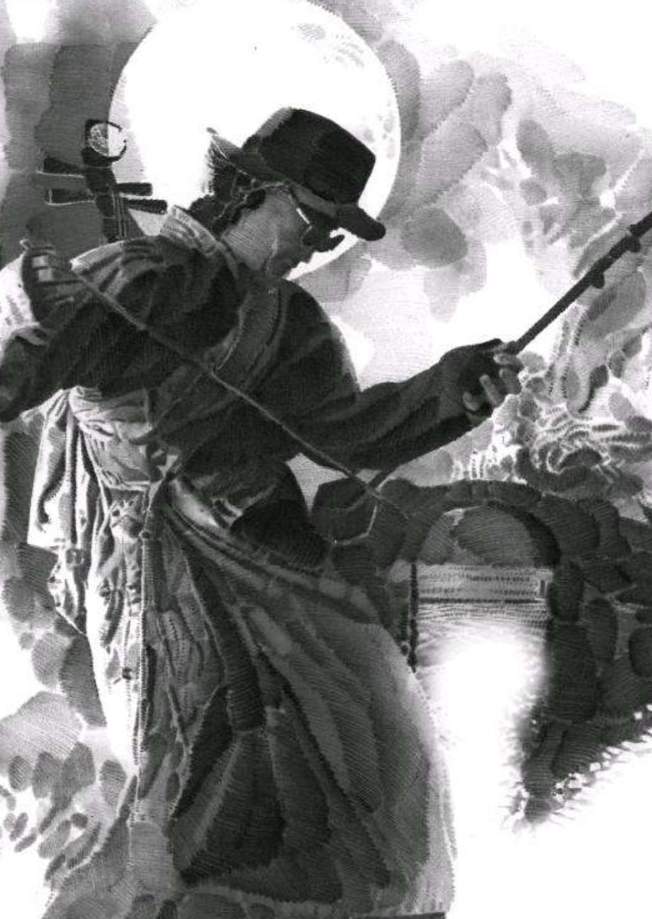 一曲二泉映月演奏的美轮美奂,一曲二泉映月如泣如诉感人至深