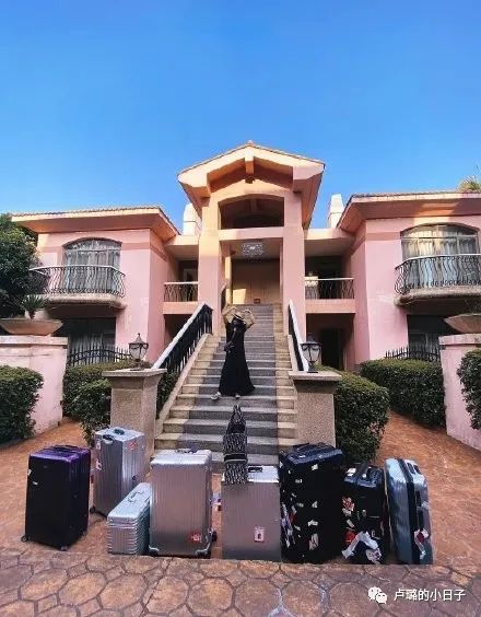 看乘风破浪的姐姐们观众反应,看乘风破浪的姐姐的反应